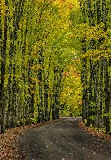 Gravel Road Prints: Covered road near Houghton in the Upper Peninsula of Michigan, USA