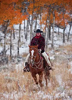 Majestic Prints: A cowboy in a fall landscaped area of Shell Wyoming in the Big Horn MT