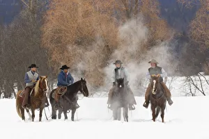 Images Dated 4th July 2019: Cowboys during winter roundup, Kalispell, Montana
