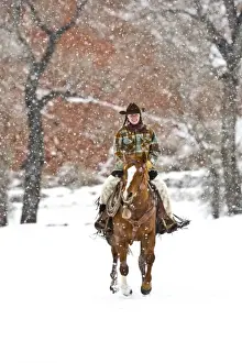 Cowgirl riding a horse on the range on The Hideout Ranch in Shell Wyoming