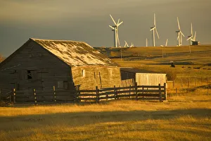 Crowsnest Pass Prints: 02