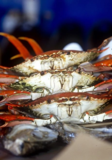 Seafood Prints: Crab, Key West, Florida, USA