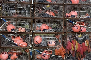 Crab pots and bait bags, Kodiak, Alaska Our beautiful pictures are