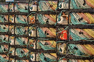 Rope Prints: Crab traps stored at Crescent City marina, Northern California
