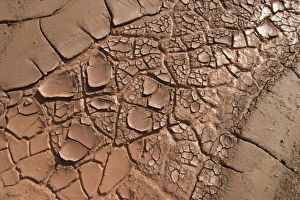 Reservation Prints: Cracked mud in desert during drought, Navajo reservation, near Seba Dalkai, Arizona