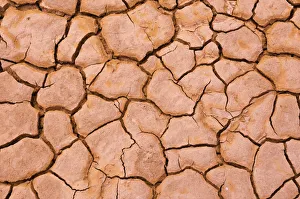 State Park Prints: Cracked mud patterns on the playa, Clark Dry Lake, Anza-Borrego Desert State Park