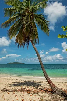 Caribbean Gallery: Cramer Park Beach, St. Croix, US Virgin Islands