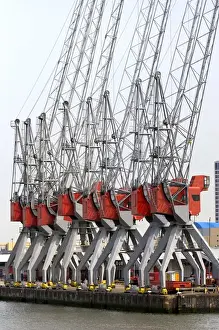 Nieuwe Maas River Prints: Cranes used for loading and unloading containers at the Port of Rotterdam, Netherlands