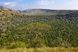 The Crater Area in Queen Elizabeth National Park, Kasese, Uganda, East Africa, Africa