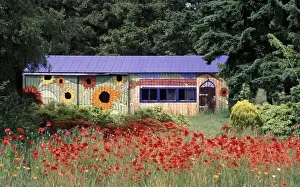 Sunflowers Prints: Credit as: Steve Satushek / Jaynes Gallery / DanitaDelimont