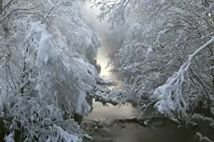 Butte Larose Prints: Creek Kleine Ach in the Lermooser Moos wetlands after sunset during winter with deep snow