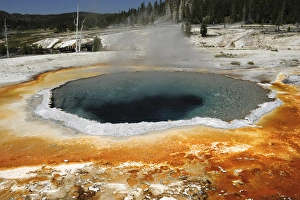 Boiling Prints: Crested Pool, Upper Geyser Basin, Yellowstone National Park, Wyoming, USA