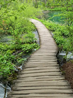 Images Dated 9th January 2023: Croatia, Boardwalk in Plitvice Lakes National Park