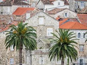Dalmatia Coast Prints: Croatia, Hvar. Houses on hillside