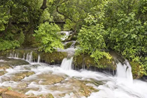 Images Dated 2nd December 2019: Croatia. Krka National Park cascades. UNESCO World Heritage Site
