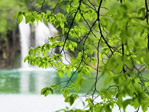 Images Dated 9th January 2023: Croatia, Plitvice Lakes National Park