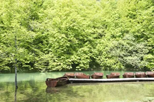 Images Dated 2nd December 2019: Croatia, Plitvice National Park. Boat dock for rentals