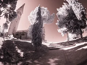 Rovinj Prints: Croatia, Rovinj. Path leading to church