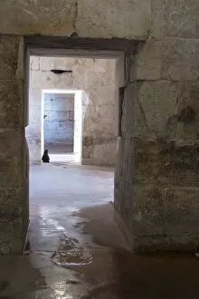 Architecture Collection: Croatia, Split. Feral cat stands watch at cellar doorway Diocletian Palace