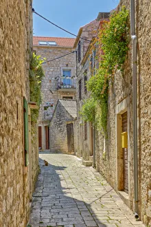 Quaint Prints: Croatia, Stari Grad. Cat in town street