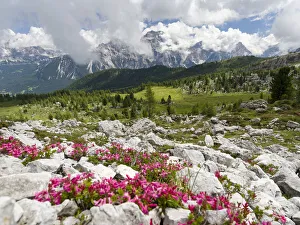 Dolomite Prints: Croda da Lago in the Dolomites of the Veneto near Cortina d Ampezzo