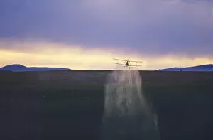 Images Dated 27th August 2008: Crop duster airplane applies chemicals to wheat crop at sunset near Kendrick Idaho