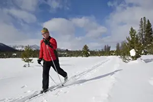 Exercise Prints: Cross country skiing on the Alturus Lake Trail in the Sawtooth National Recreation