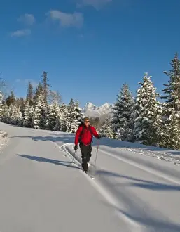 Exercise Prints: Cross country skiing to Fish Creek in Glacier National Park in Montana (MR)
