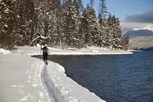 Images Dated 3rd January 2009: Cross country skiing along Lake McDonald in Glacier National Park in Montana (MR)