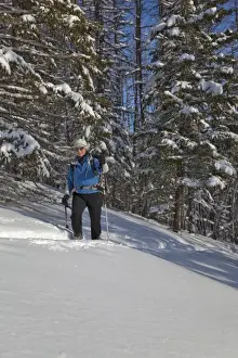 Exercise Prints: Cross country skiing on rocky Point in Glacier National Park in Montana (MR)