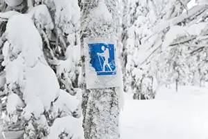 Deep Prints: Cross country skiing sign, Riisitunturi National Park, Lapland, Finland