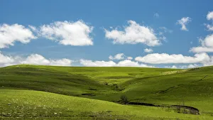 Kansas Prints: Cross in the Flint Hills