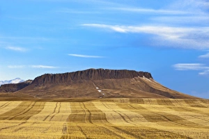 Farm Land Prints: Crown Butte near Simms Montana