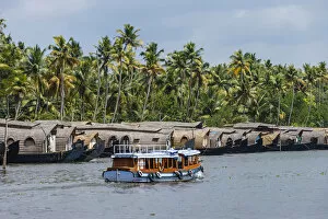 Cruise boats in Backwaters, Kerala, India