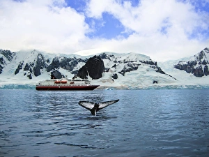 Anchor Prints: A cruise ship anchored in Neko Harbor, Gerlache Strait, Antarctic Peninsula, Antarctica