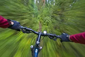 Cruising down a buff section of singletrack trail from the riders perspective near