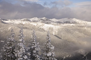 Crystal Mountain Prints: Crystal Mountain Ski Resort, near Mt. Rainier, WA, USA