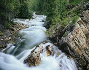 Crystal River Prints: Crystal River
