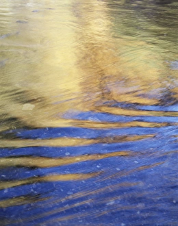 Reflecting Prints: CTF-0993