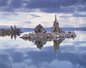 Mono Lake Prints: CTF-1031