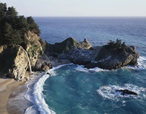 Cove Prints: CTF-119
