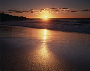 La Jolla Prints: CTF-1243