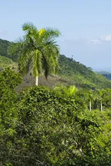 Images Dated 28th December 2015: Cuba. Artemisa. Las Terrazas. UNESCO biosphere preserve and eco-community in