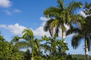 Images Dated 28th December 2015: Cuba. Artemisa. Las Terrazas. UNESCO Biosphere Preserve and eco-community in