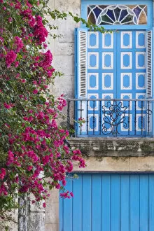 Cuba, Havana. Bougainvillea blooms near a balcony in the restored area of Old Town