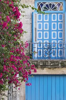 Cuba Prints: Cuba, Havana. Bougainvillea blooms near a balcony in the restored area of Old Town
