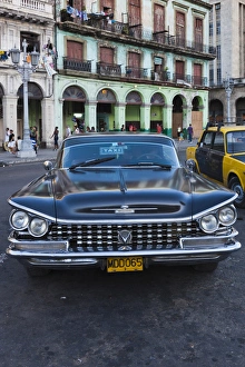 Images Dated 17th March 2012: Cuba, Havana, Havana Vieja, detail of 1950s-era US car, 1959 Buick
