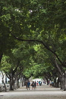 Communist Prints: Cuba, Havana, Havana Vieja, Paseo de Marti walkway