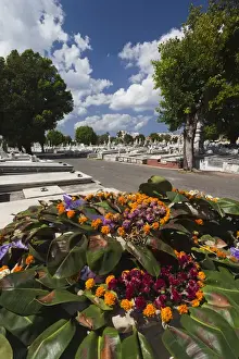 Images Dated 3rd March 2012: Cuba, Havana, Vedado, Necropolis Cristobal Colon cemetery