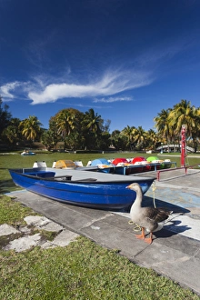Images Dated 15th March 2012: Cuba, Matanzas Province, Varadero, Parque Josone park